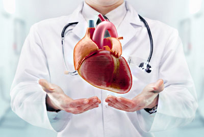 Cardiology