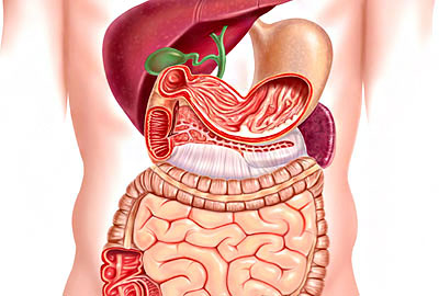 Gastroenterology